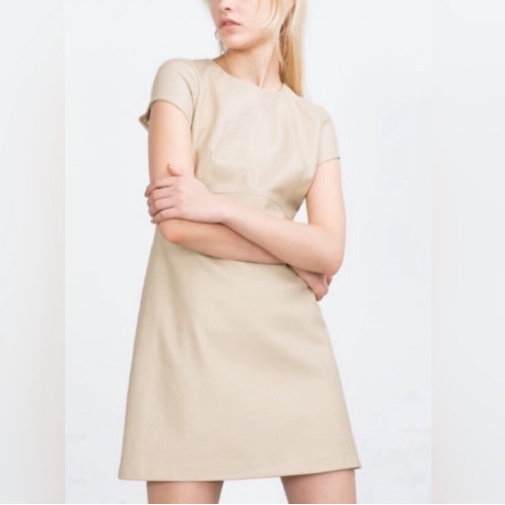 Zara Faux Leather Mini Dress